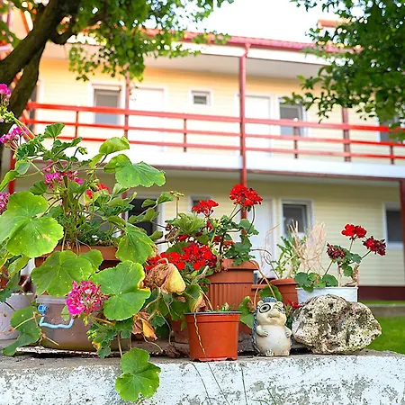 Aty & Michelle Maison d'hôtes Vama Veche