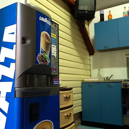 Aty & Michelle Vama Veche