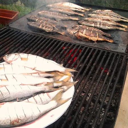 Aty & Michelle Maison d'hôtes Vama Veche